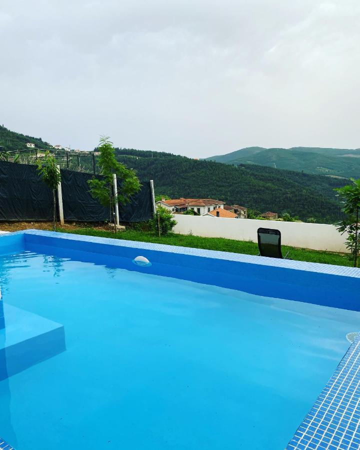 Douro Box Villa Castelo de Paiva Eksteriør billede